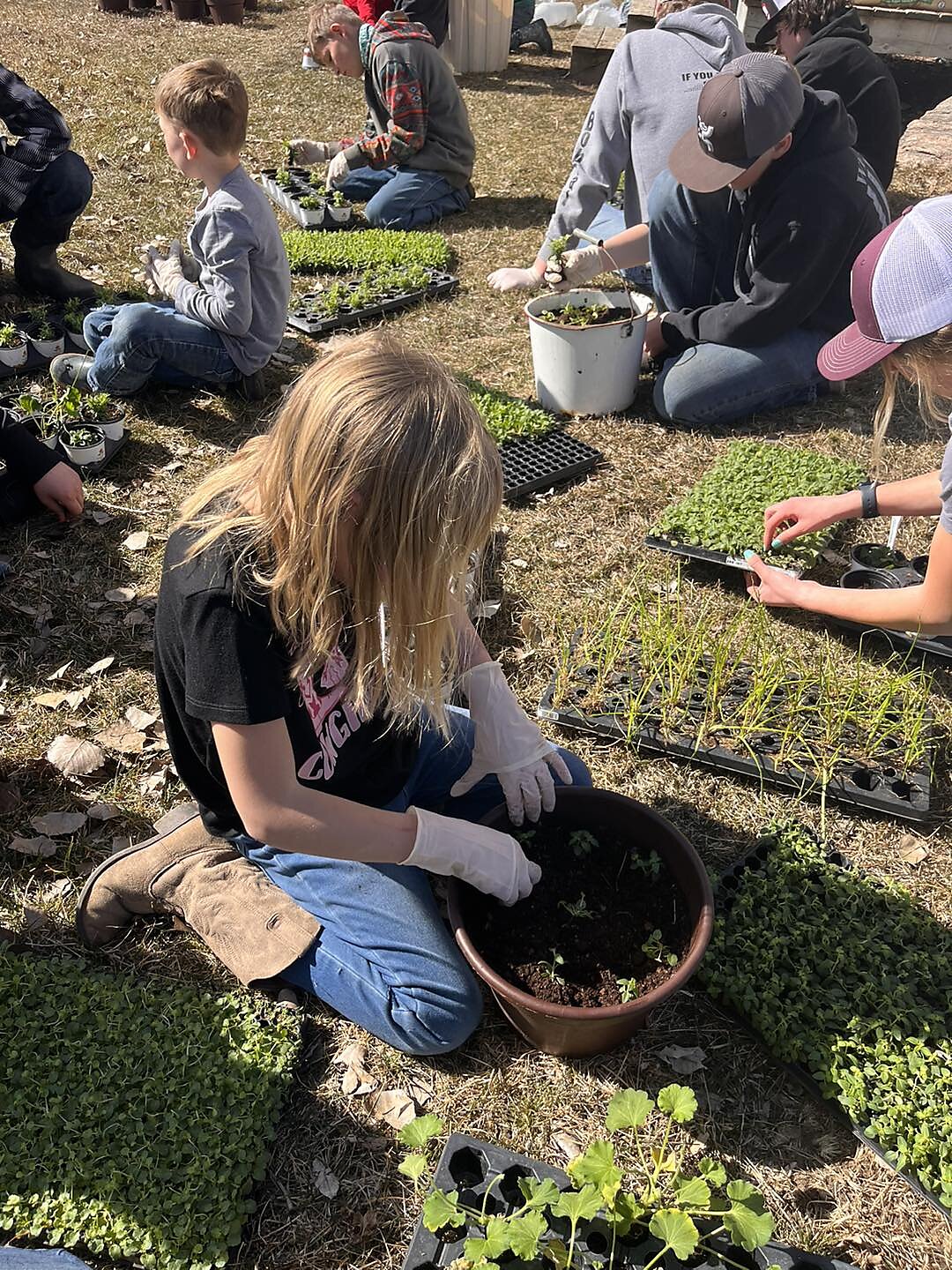 Gardening at Buffalo Christian