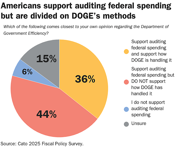 Americans support auditing federal spending but are divided on DOGE’s methods