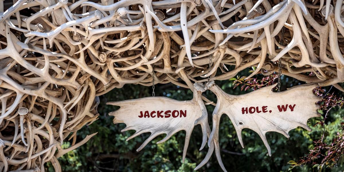 Stuck in Jackson Hole | Mises Institute