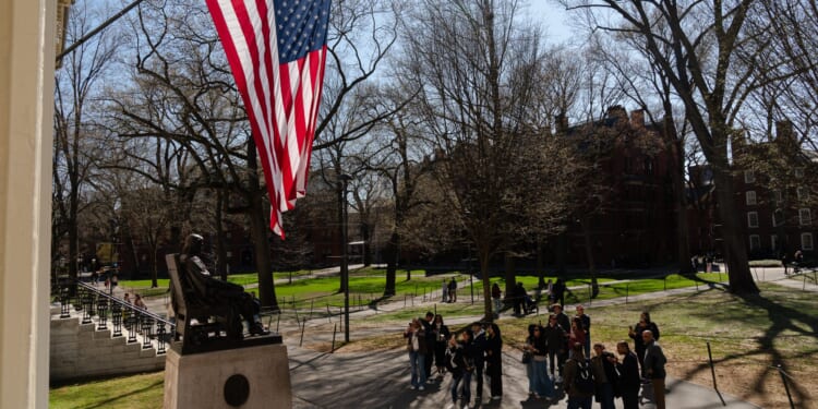 Harvard President Blamed Jewish Student for His Own Assault, Text Message Shows