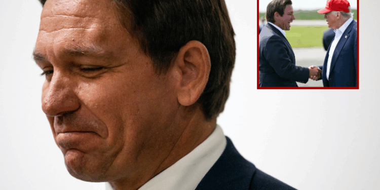 DeSantis announces proposal to set aside land for Trump’s Presidential Library – One America News Network