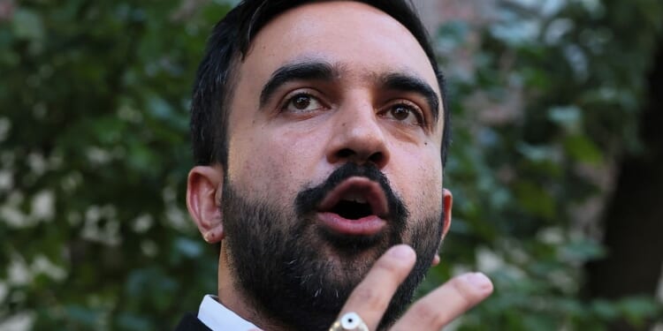 Mamdani Gains Show Urban Black Voters’ Devotion to Democrat Brand