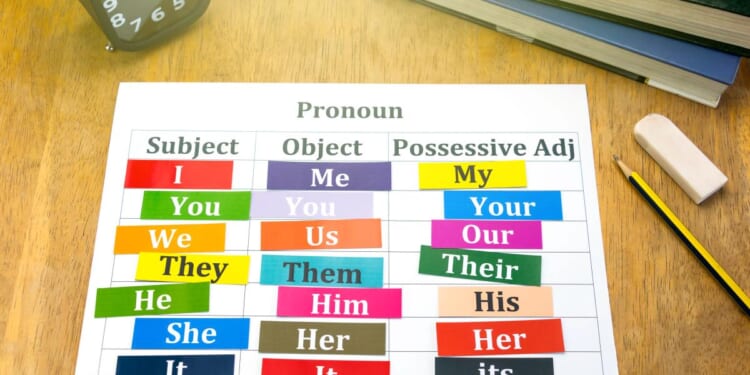 Rothbard’s Preferred Pronouns | Mises Institute