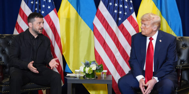 Trump Says He Now Believes Ukraine Can Win Back All Territory Lost to Russia with NATO's Help