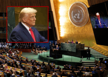 Trump returns to UN stage with fiery rebuke, arguing global institution is failing its mission – One America News Network
