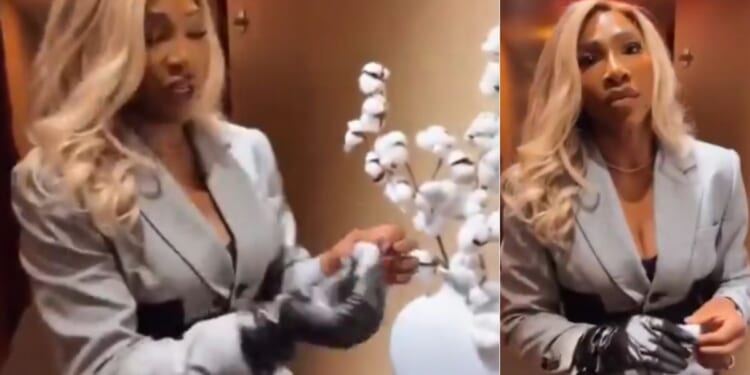 Serena Williams is facing backlash online after posting a video to Instagram complaining about a decorative cotton plant in a New York City hotel.