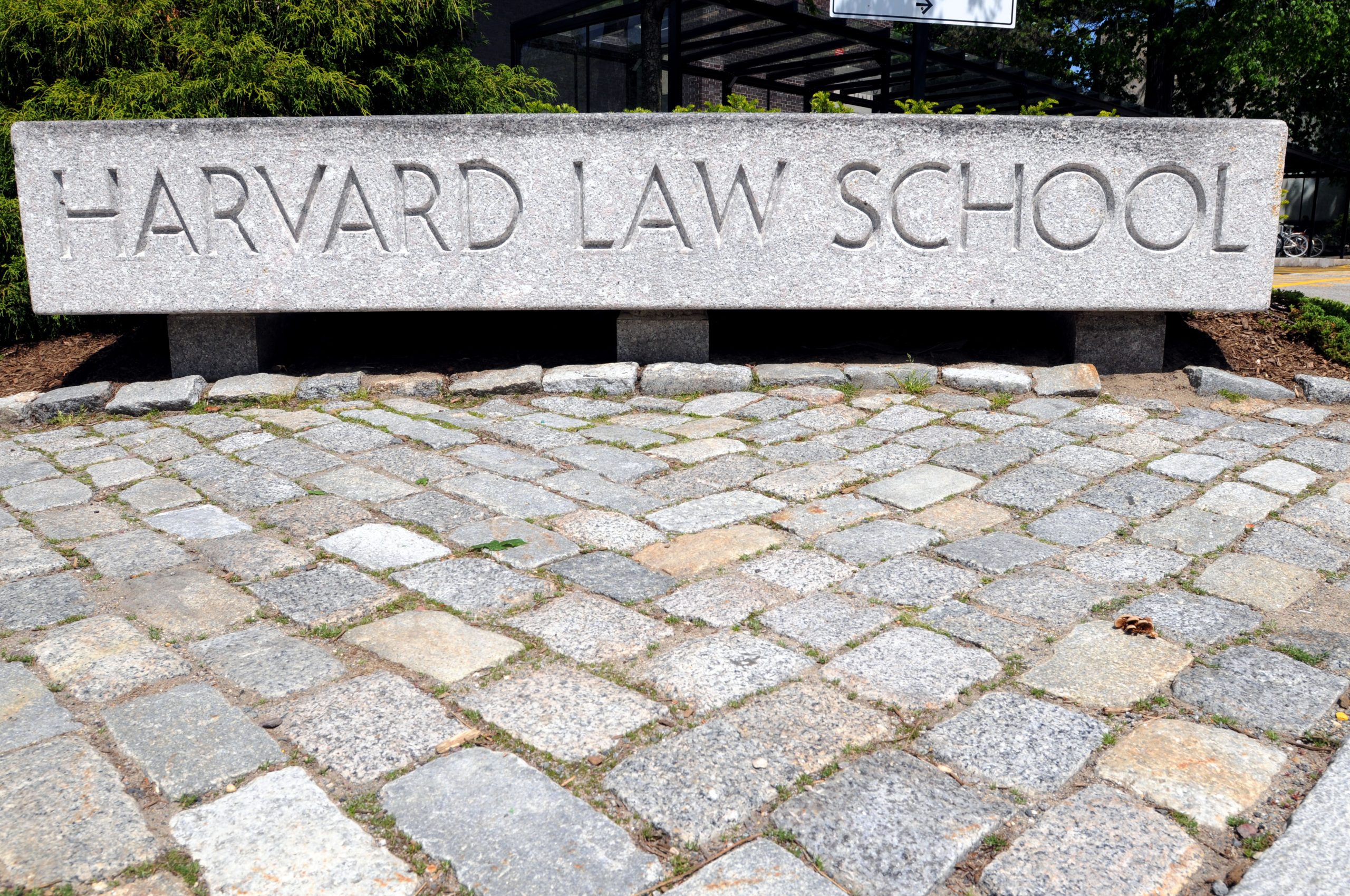‘Rat Hunting’ Harvard Law School Professor Weaved His Way Through America’s Elite Institutions