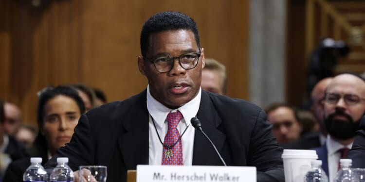 Senate GOP confirms more than 100 Trump nominees – One America News Network