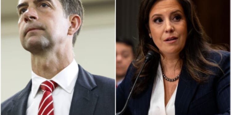 Stefanik, Cotton Urge Treasury Department To Probe CAIR for 'Financial Links to Hamas'