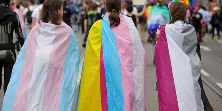 Federal judge overturns Biden-era transgender healthcare protections – One America News Network