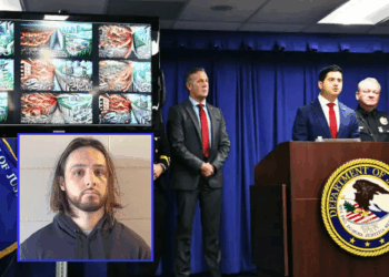 Accused Palisades Fire arsonist arrested in Florida – One America News Network