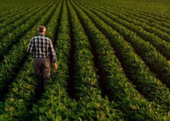 America Hurts Farmers and Discounts China's Soy Imports while Providing a Crutch for Argentina