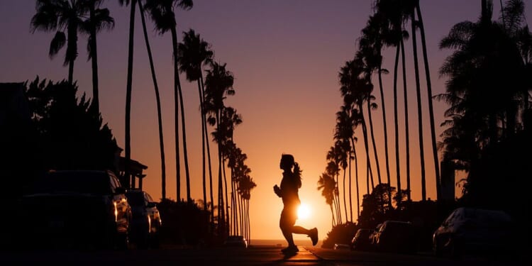 Californians are the elves of America