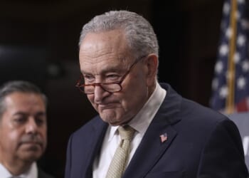 Chuck Schumer Destroyed the Democratic Party’s Messaging on the Shutdown – PJ Media