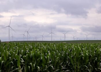 Food Supplies Threatened by Climate Change Policies