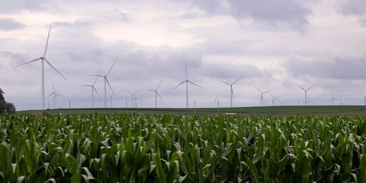 Food Supplies Threatened by Climate Change Policies