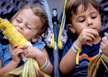 Healthy Food, Healthy Children?