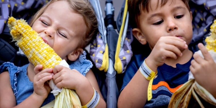 Healthy Food, Healthy Children?