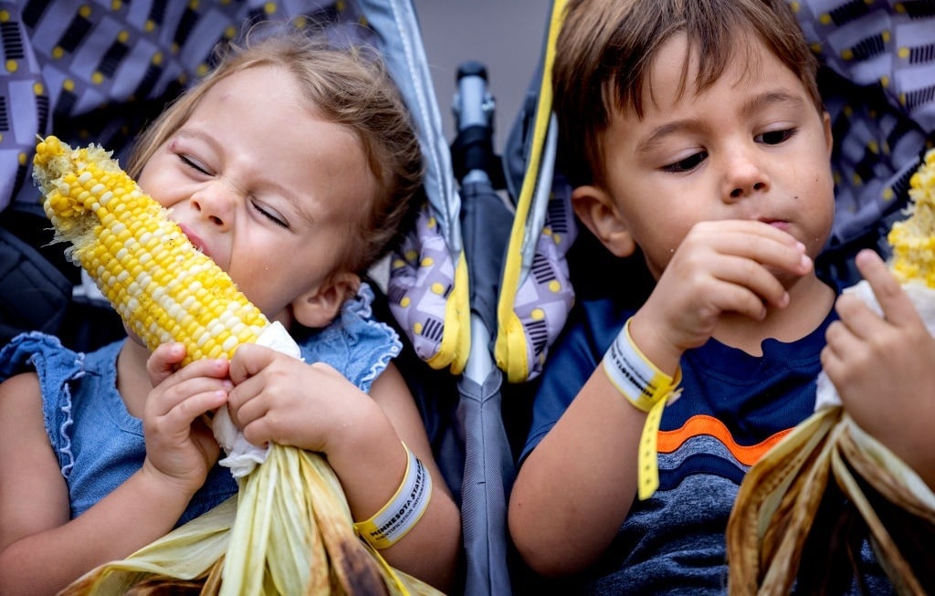 Healthy Food, Healthy Children?