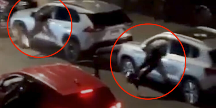 How a Great American City Turned into Murderapolis