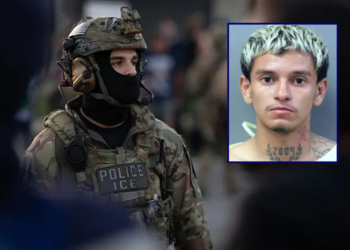 Federal law enforcement agents confront demonstrators protesting outside of an immigrant processing center on September 27, 2025 in Broadview, Illinois. The demonstrators were protesting a recent surge in ICE apprehensions in the Chicago area, part of a push by the Trump administration dubbed Operation Midway Blitz. (Photo by Scott Olson/Getty Images) / Leyter Jeferson Arauz-Medina; Department of Homeland Security
