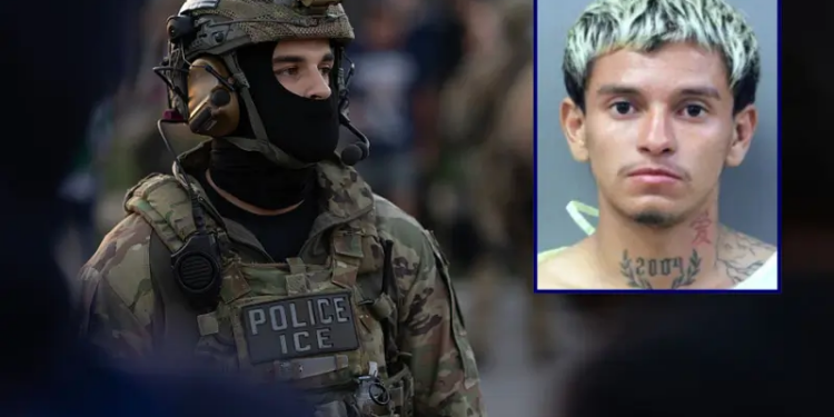 Federal law enforcement agents confront demonstrators protesting outside of an immigrant processing center on September 27, 2025 in Broadview, Illinois. The demonstrators were protesting a recent surge in ICE apprehensions in the Chicago area, part of a push by the Trump administration dubbed Operation Midway Blitz. (Photo by Scott Olson/Getty Images) / Leyter Jeferson Arauz-Medina; Department of Homeland Security