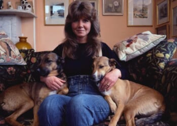 Jilly Cooper was the undisputed queen of smut