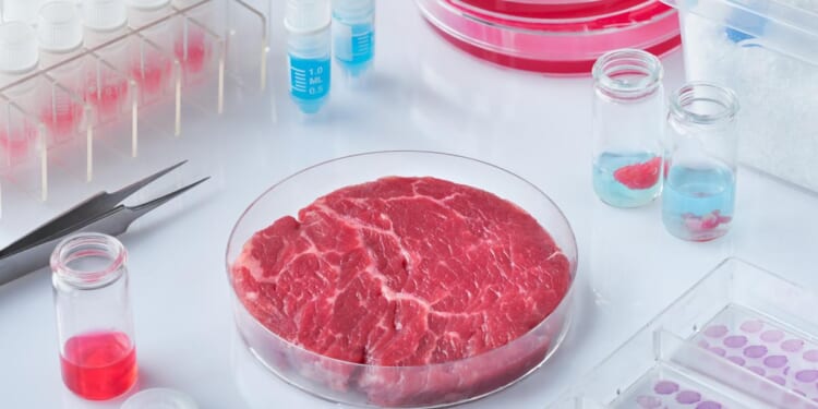 Lab Grown Meat Must Not Be Banned by a Greedy Agricultural Lobby