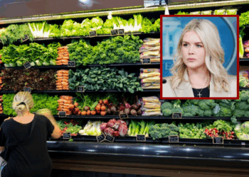 Leavitt slams Democrats as shutdown jeopardizes SNAP benefits for millions – One America News Network