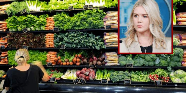 Leavitt slams Democrats as shutdown jeopardizes SNAP benefits for millions – One America News Network