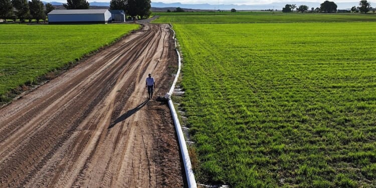 MAHA Petition Asks USDA Secretary to Support Small Farms