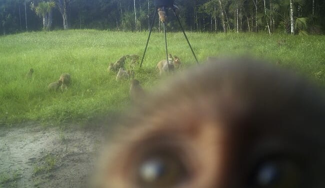 Mississippi’s Mini ‘Outbreak’ – PJ Media