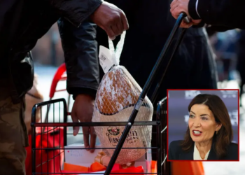 A Volunteer holds a turkey during a giveaway organized by Food Bank For New York City at Highbridge Houses in the Bronx on December 19, 2020 in New York. (Photo by Kena Betancur / AFP) (Photo by KENA BETANCUR/AFP via Getty Images) / New York Governor Kathy Hochul attends a press conference beside the Black Course at Bethpage State Park Golf Course on September 17, 2025 in Farmingdale, New York. The 2028 KPMG Women