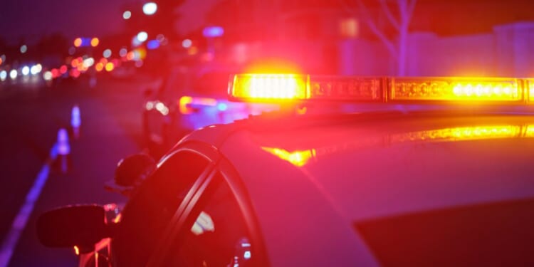 A police car displays its flashing lights on the road.