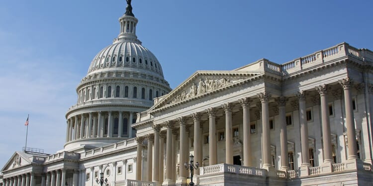 The Capitol in Washington DC (USA)