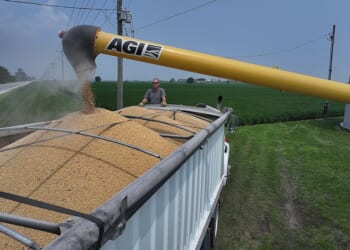 Soybeans Become a Thorn in the Trump 2.0 Agenda