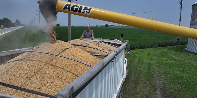 Soybeans Become a Thorn in the Trump 2.0 Agenda