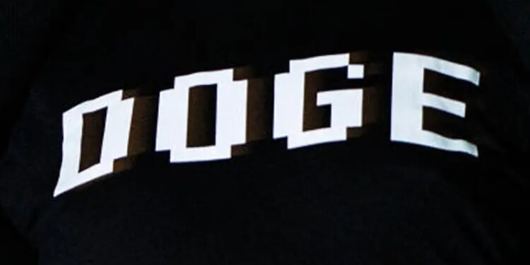 WASHINGTON, DC - MARCH 9: White House Senior Advisor Elon Musk walks to the White House after landing in Marine One on the South Lawn with U.S. President Donald Trump (not pictured) on March 9, 2025 in Washington, DC. Trump was returning to the White House after spending the weekend at Mar-a-Lago, his private club in Florida. (Photo by Samuel Corum/Getty Images)