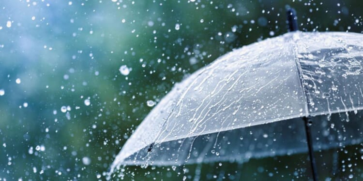 The "Acid Rain" Scare and the Science-Industrial Complex