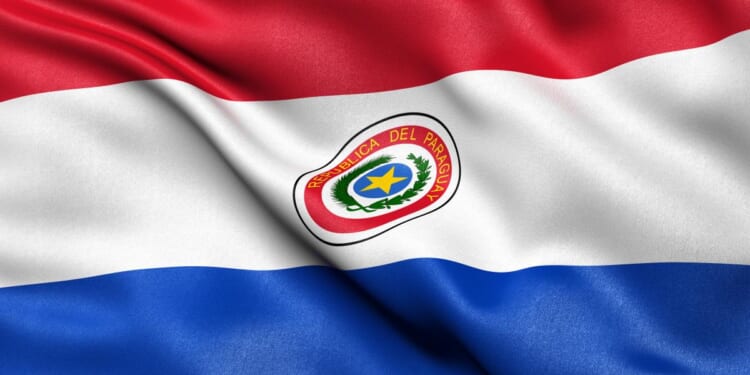 The Doctrine of the Ruling Party in Paraguay