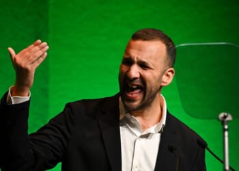 The Green Party's shallow revolution