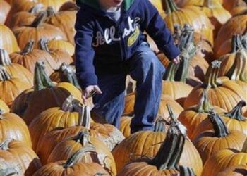 The Jihadi Animals Want Your Kids Dead – PJ Media