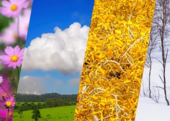 The Questionable Rationale of Adjusting Data for Seasonality