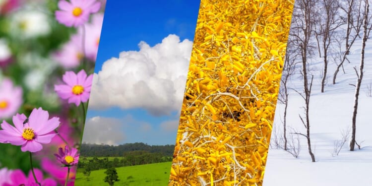 The Questionable Rationale of Adjusting Data for Seasonality