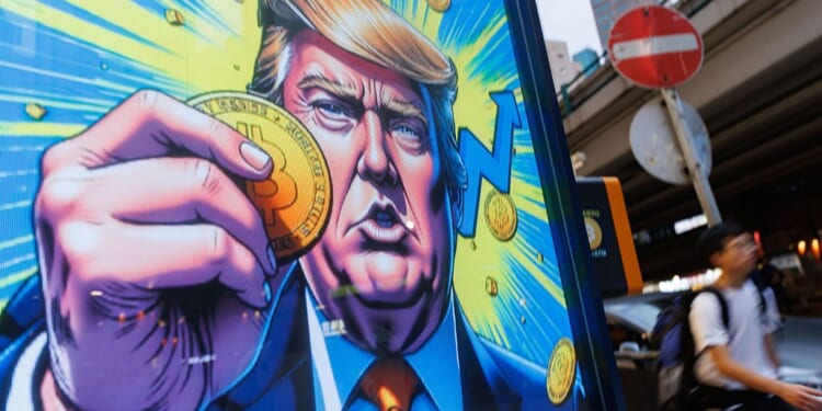 The fall of the crypto-oligarchs