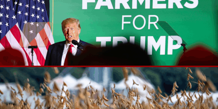 Trump admin considering $10B Farm Relief Plan, but timing remains unclear with govt shutdown – One America News Network