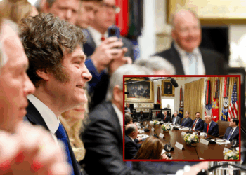 ‘If he wins, we’re staying with him’ – One America News Network