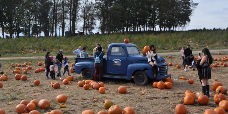 Big Tech’s assault on Maryland