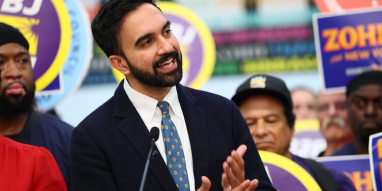 Mamdani Credited Working Class New Yorkers for His Victory but Support Came From Educated Elite