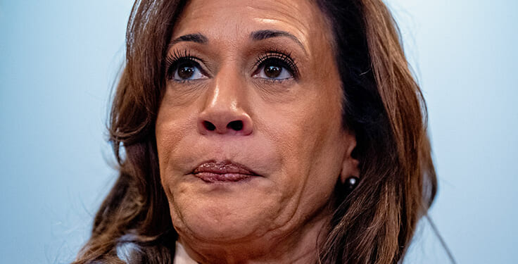 Liberals Insisted the Supreme Court Was ‘Plotting’ To Abolish Gay Marriage. They Were Wrong, Obviously.